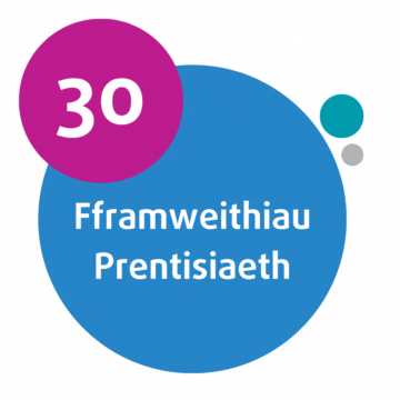 30 Fframweithiau Prentisiaeth