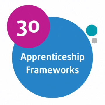 30 Apprenticeship Frameworks